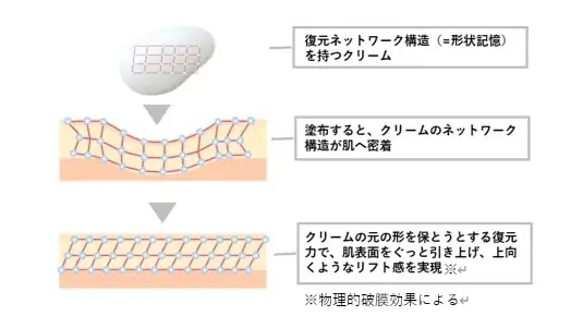 世界初※1！ユーグレナの希少成分「パラミロン※2」を配合　1個10役の高機能オールインワンクリームが新発売 画像 6