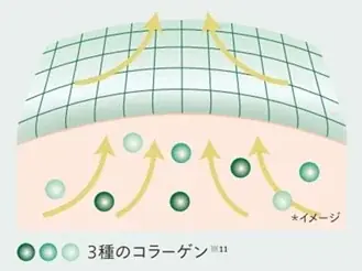 世界初※1！ユーグレナの希少成分「パラミロン※2」を配合　1個10役の高機能オールインワンクリームが新発売 画像 7