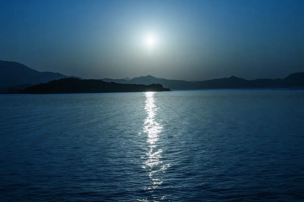 東京×小豆島、オリーブの恵みに満たされる美容ウェルネス体験「OLIVE WELLNESS RITUAL」を六本木で期間限定開催 画像 7