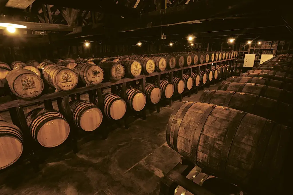 ワールド・ウイスキー・アワード（WWA）2026で「シングルモルト津貫 Minami-satsuma Art Collection #04」が、ベスト・ジャパニーズ スモールバッチ シングルモルト受賞 画像 7