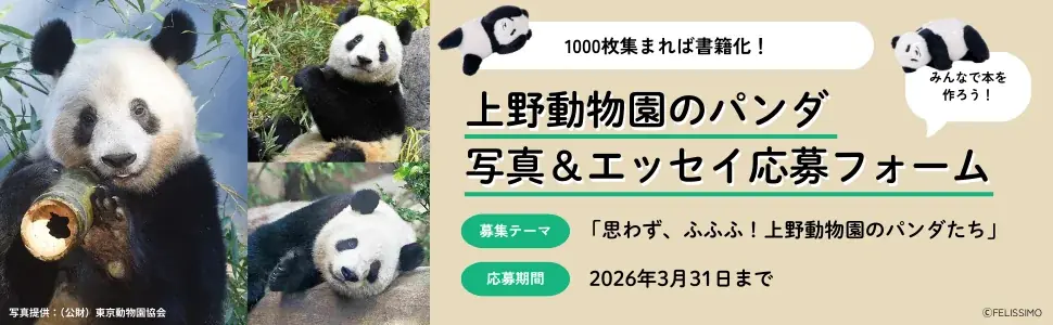 上野パンダ写真集公募