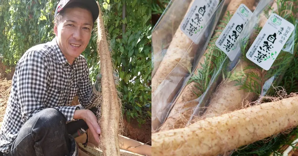 【佐賀県×食べチョク】生産者とトップシェフがタッグ！東京・LA BONNE TABLEでこだわり食材フェアを開催！ 画像 7