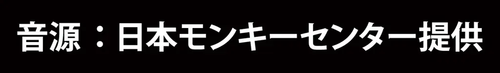 公益財団法人日本モンキーセンターと名駅の都市型サウナ「SAUNA MONKEY」が提携 画像 2