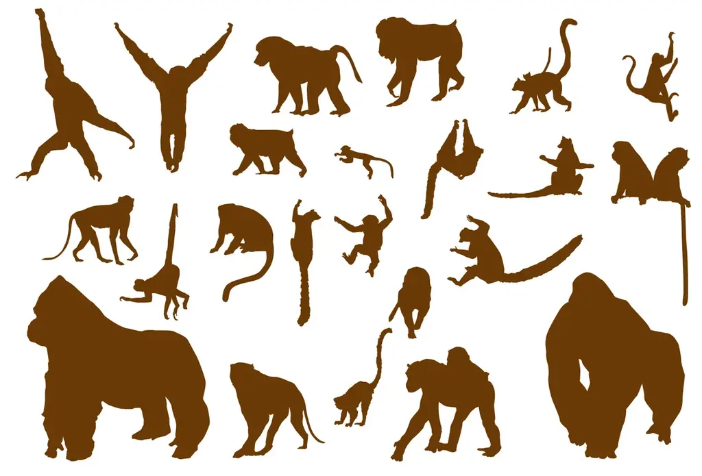 公益財団法人日本モンキーセンターと名駅の都市型サウナ「SAUNA MONKEY」が提携 画像 3