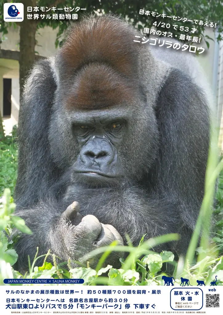 公益財団法人日本モンキーセンターと名駅の都市型サウナ「SAUNA MONKEY」が提携 画像 4