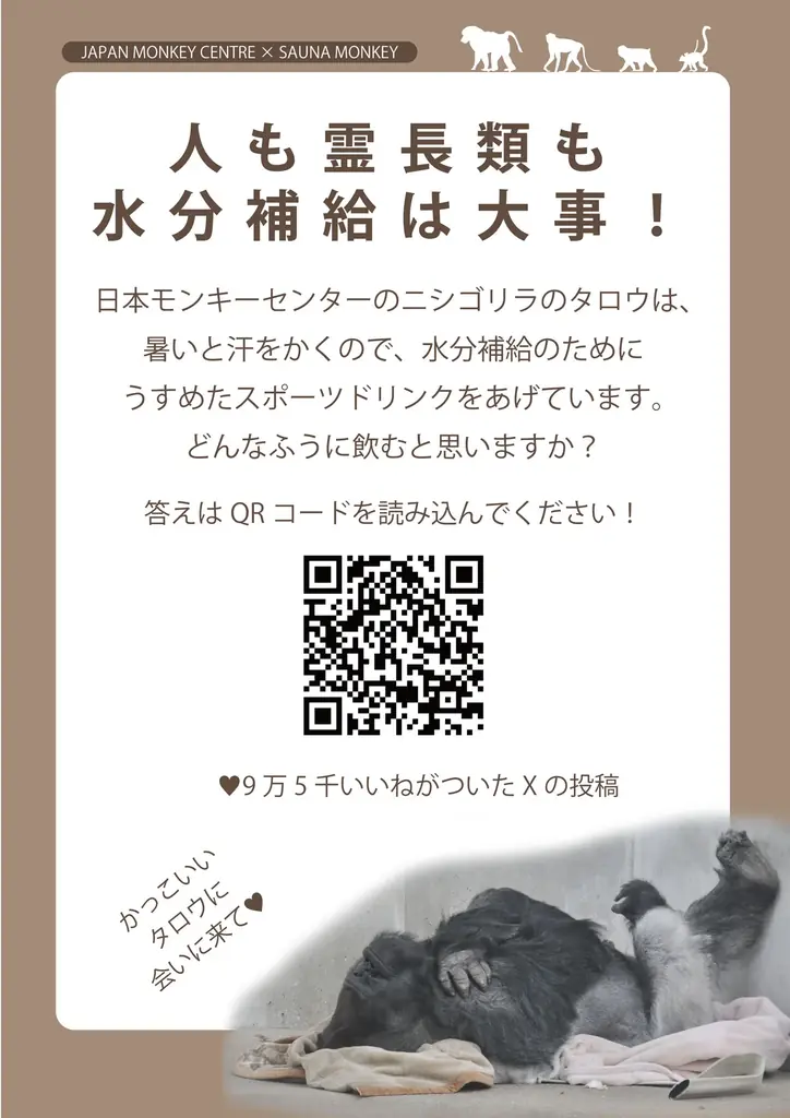 公益財団法人日本モンキーセンターと名駅の都市型サウナ「SAUNA MONKEY」が提携 画像 5