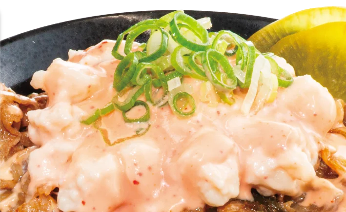 対象商品の肉が290円分“タダ”で50%増量！物価高騰の逆風の中でも“大盛り肉丼界のパイオニア”は屈しない！全国の「伝説のすた丼屋」で『肉の日キャンペーン』W開催を決定！ 画像 15