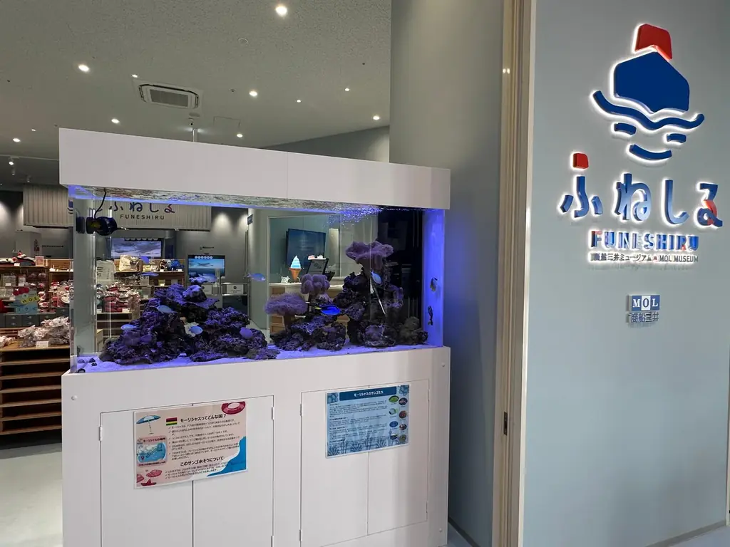 万博のウインドハンター体験、再び 画像 4