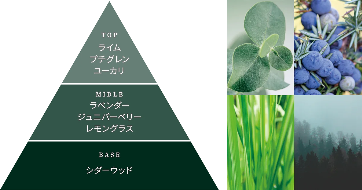 【新商品】地球の叡智でボディシルエットを整える。サロン専売ボディクリーム『DAPI シルエットデザイン』を発売 画像 12