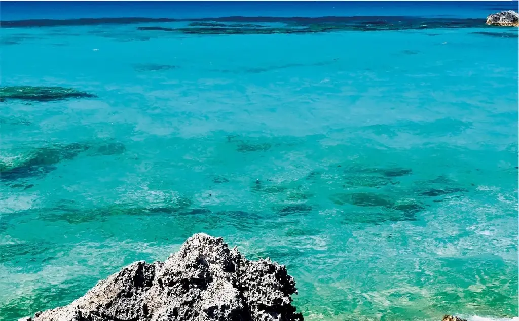 【新商品】地球の叡智でボディシルエットを整える。サロン専売ボディクリーム『DAPI シルエットデザイン』を発売 画像 3