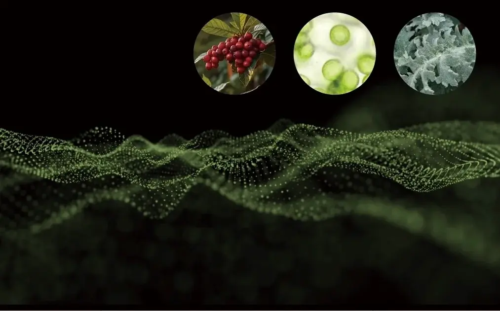 【新商品】地球の叡智でボディシルエットを整える。サロン専売ボディクリーム『DAPI シルエットデザイン』を発売 画像 4