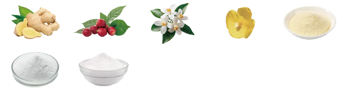 【新商品】地球の叡智でボディシルエットを整える。サロン専売ボディクリーム『DAPI シルエットデザイン』を発売 画像 6