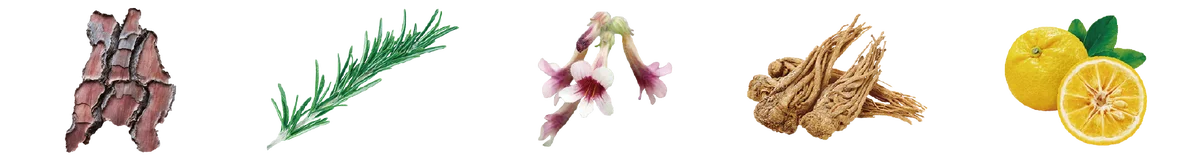 【新商品】地球の叡智でボディシルエットを整える。サロン専売ボディクリーム『DAPI シルエットデザイン』を発売 画像 7