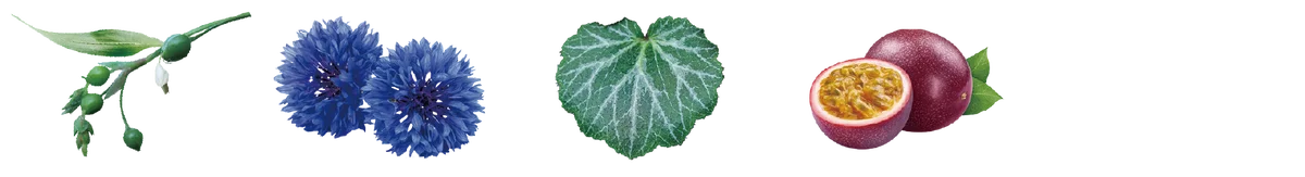 【新商品】地球の叡智でボディシルエットを整える。サロン専売ボディクリーム『DAPI シルエットデザイン』を発売 画像 8