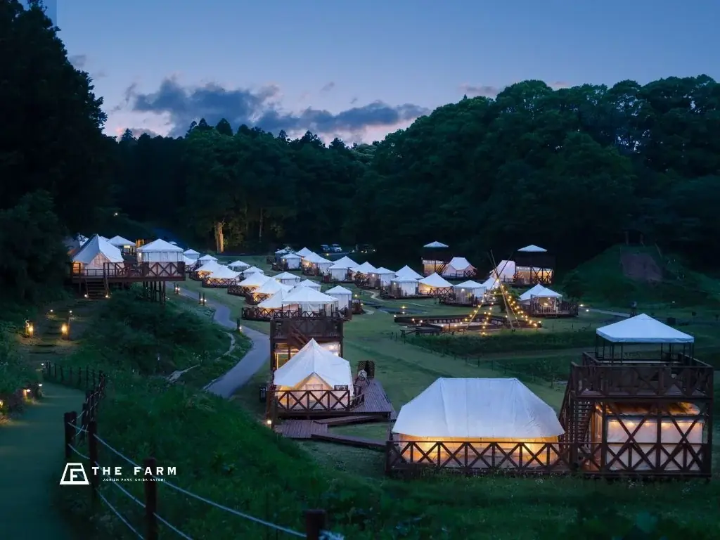 2月8日(日)衆院選に向け「選挙割」で投票率アップを目指す。おふろcaféかりんの湯にて実施 画像 8