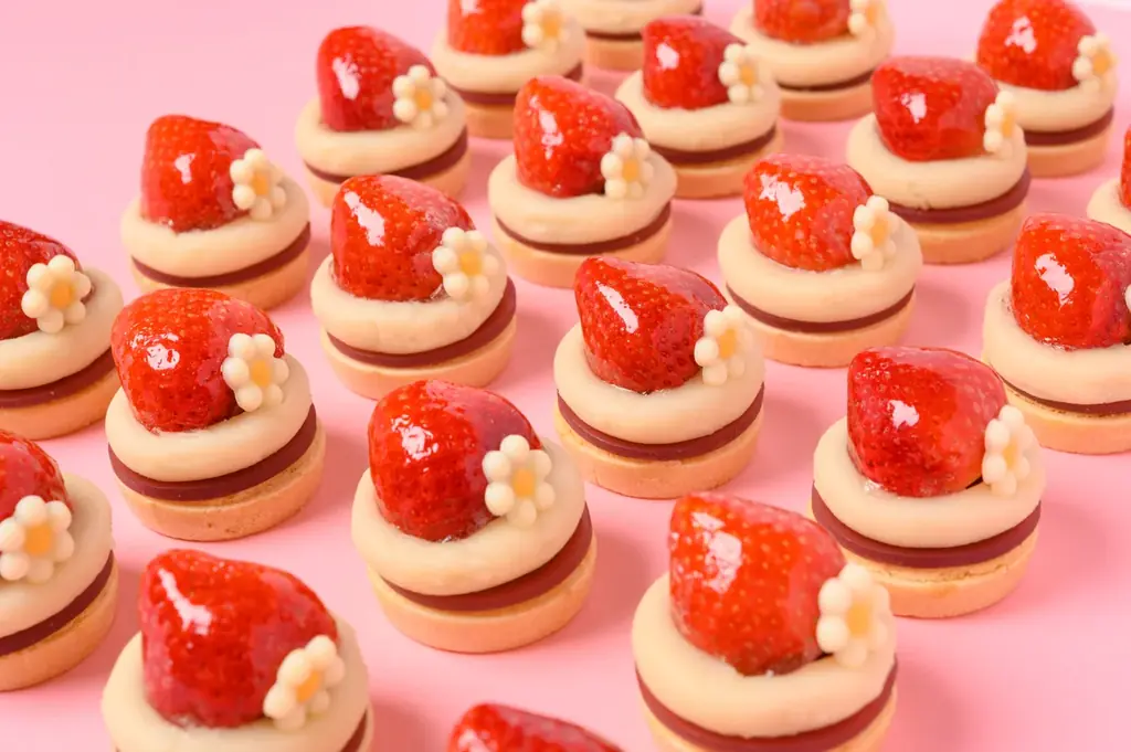 横浜で昨年約58万⼈を動員した“いちごの祭典”が初出店店舗も加わり今年も⼤阪で開催決定！『OSAKA Strawberry Festival 2026』 画像 5