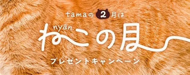 《tama》1カ月まるごと猫と楽しむ【2月は猫の月】特別キャンペーンを開催！ 画像 1