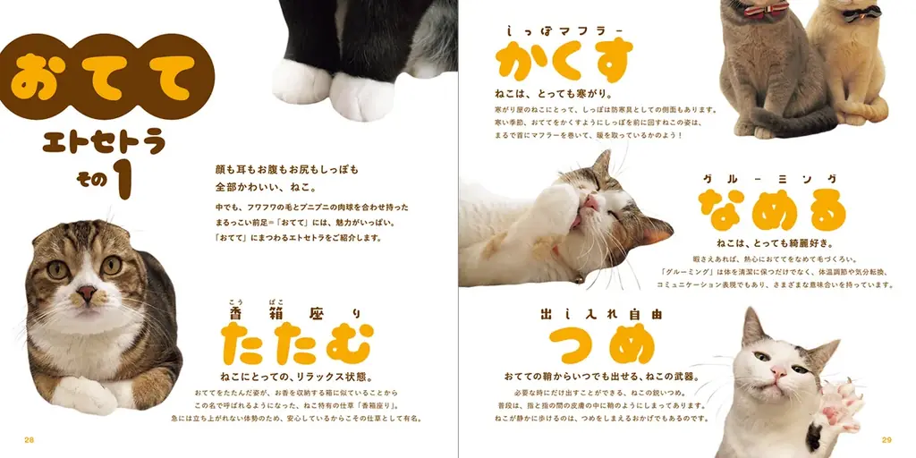 ニッチからロングセラーへ。猫の「手」だけを集めた写真集『ねこのおてて』が６年ぶり重版で通算10刷に 画像 6