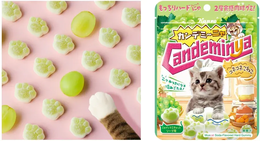 コネコネこねこ発売