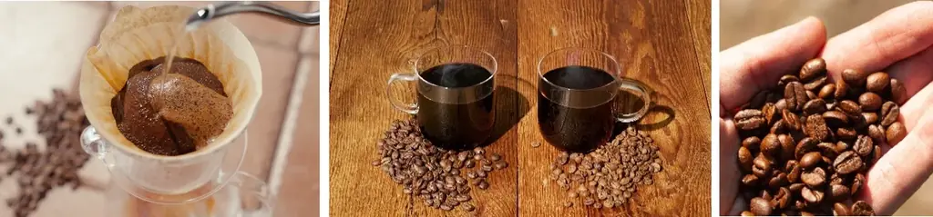 国内に51店舗を展開する「コナズ珈琲」から新ブランド誕生！「KNOWS COFFEE」3月18日（水）イオンモール津田沼South に第1号店をオープン！ 画像 3