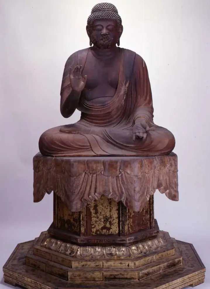 【豊橋市】それ！天然記念物！！知らなかった・・・では済まされない、わたしたちの大切な文化財 画像 10