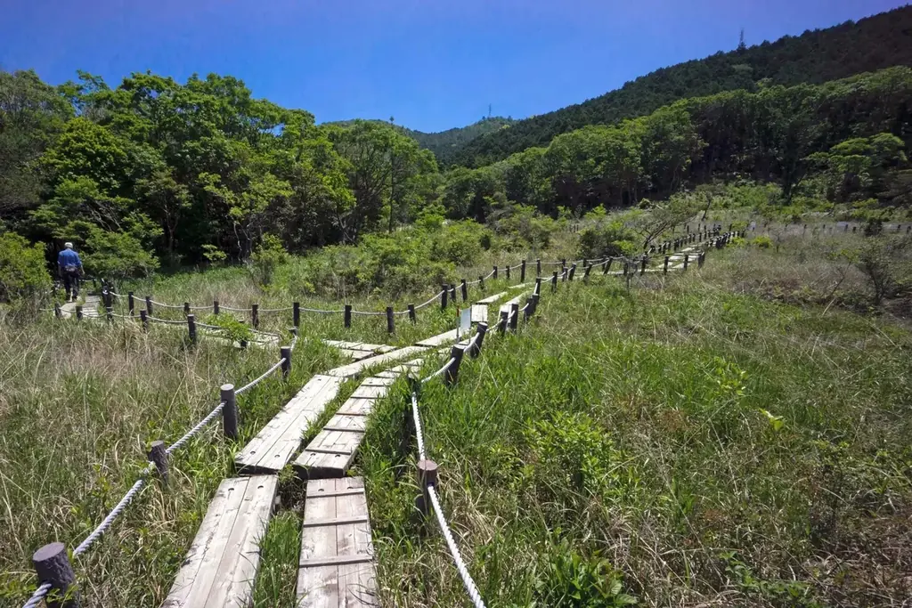 【豊橋市】それ！天然記念物！！知らなかった・・・では済まされない、わたしたちの大切な文化財 画像 5