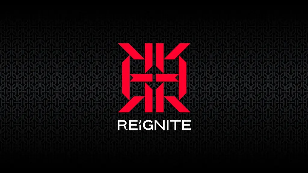 eスポーツチーム「REIGNITE」が「NOEZ FOXX」と業務提携を締結、VALORANT部門を共同運営 画像 2