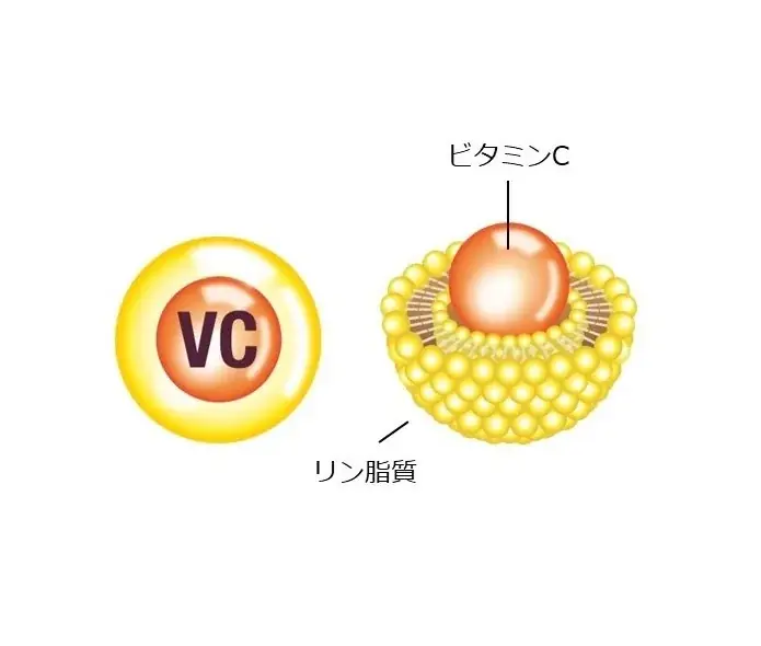 ビタミンCを効率吸収！DHCからビューティサプリが新登場 画像 3