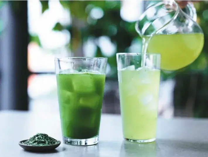 「伊右衛門カフェ」国内8店舗目を大阪・心斎橋にOPEN！ 画像 9