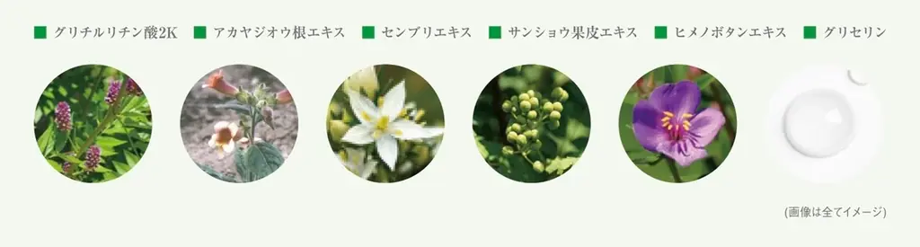 TWANY（トワニー）の2001年発売から愛されるロングセラー、春夏用美容液「シーズナルエッセンスa　SS」が2026年2月7日（土）数量限定発売 画像 8