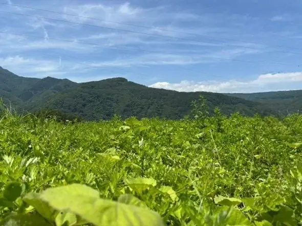 国産よもぎスキンケアシリーズ、Makuake開始18日で67名・23,3万円達成（継続中） 画像 2