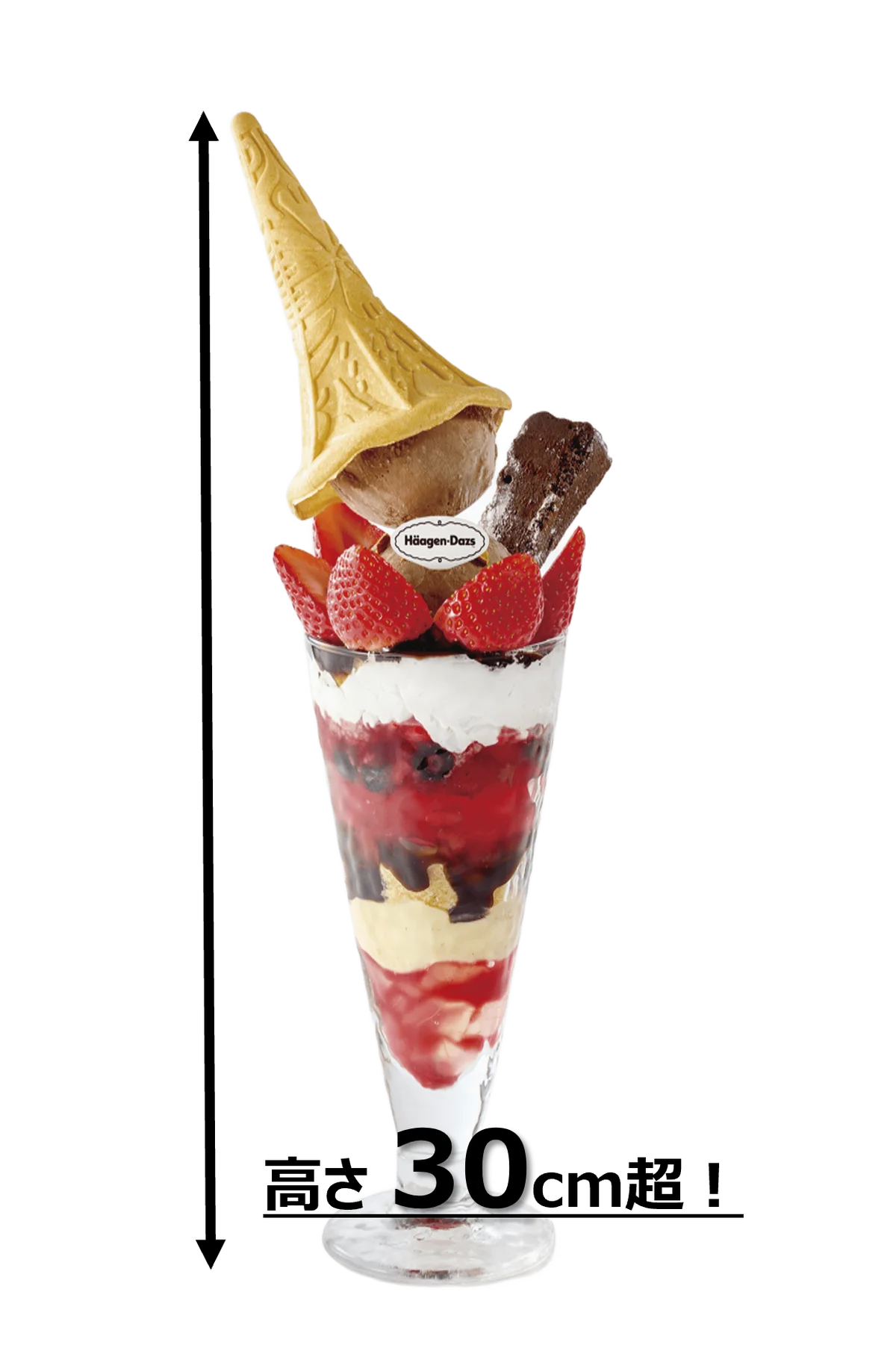 いちご×チョコの甘～い誘惑！ハーゲンダッツスイーツがバレンタイン仕様！春を先取る「春の彩りDining」も2月5日（木）より開始 画像 2