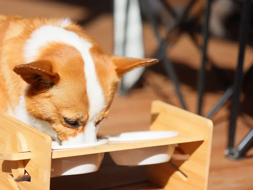 【土日も対象・全日20％OFF】“プライベートビーチを独占する”全棟サウナ＆温水ジャグジー付き海辺のグランピング「STOKED private villa 松輪」お得なキャンペーンを販売開始！ 画像 10