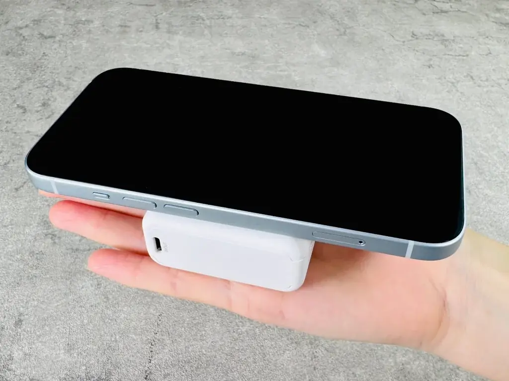 2月の『楽天お買い物マラソン』2月4日(水)20：00より開催！【磁気研究所/HIDISC】 画像 9