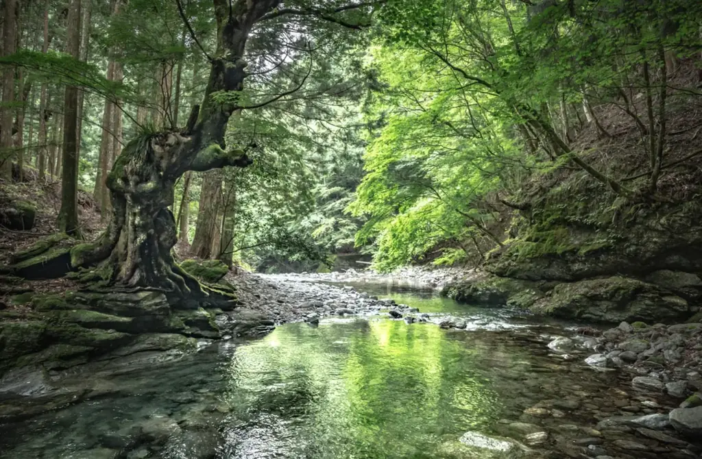 3月7-8日｜東吉野村で整えるアート×キャリア合宿