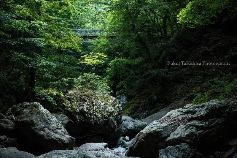 「我々はどう生きるか」40〜50代の人生を整える2日間　東吉野村「アート×キャリア」地域複業キャンプ第2弾募集開始！ 画像 11