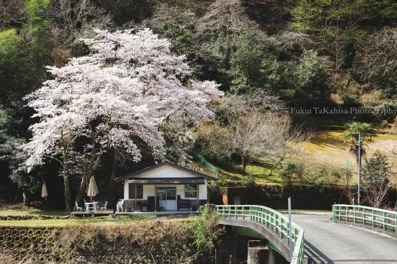 「我々はどう生きるか」40〜50代の人生を整える2日間　東吉野村「アート×キャリア」地域複業キャンプ第2弾募集開始！ 画像 12