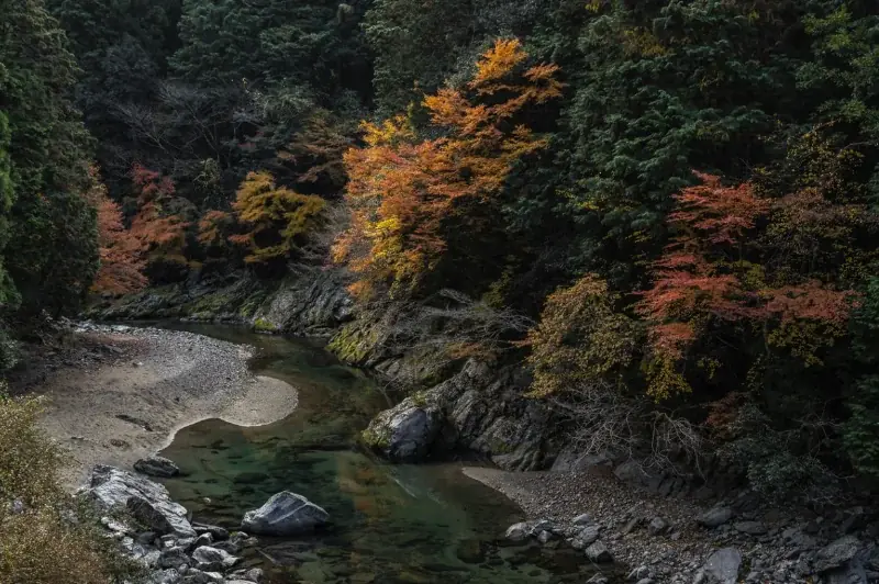 「我々はどう生きるか」40〜50代の人生を整える2日間　東吉野村「アート×キャリア」地域複業キャンプ第2弾募集開始！ 画像 4