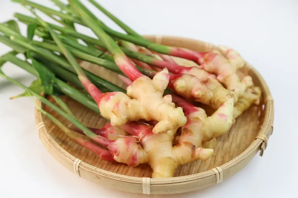 日本橋三越本店に初出店。東京の下町生まれのクラフトコーラ。 画像 6