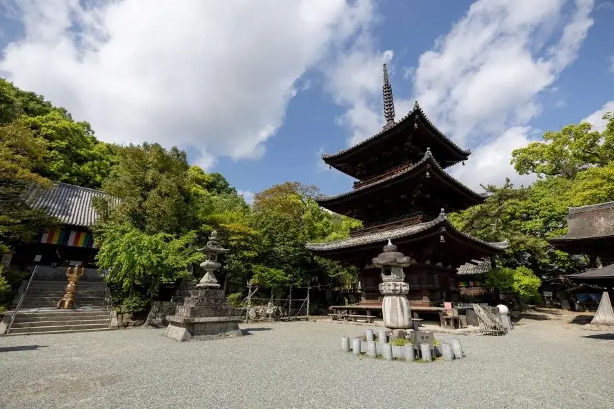 3月7日「サウナの日」、四国霊場・石手寺にて”寺サウナ×護摩行”イベント「蒸浄菩薩祭」開催 ― サウナ菩薩お披露目／愛媛サウナ巡礼 御朱印帳 発表 ― 画像 2
