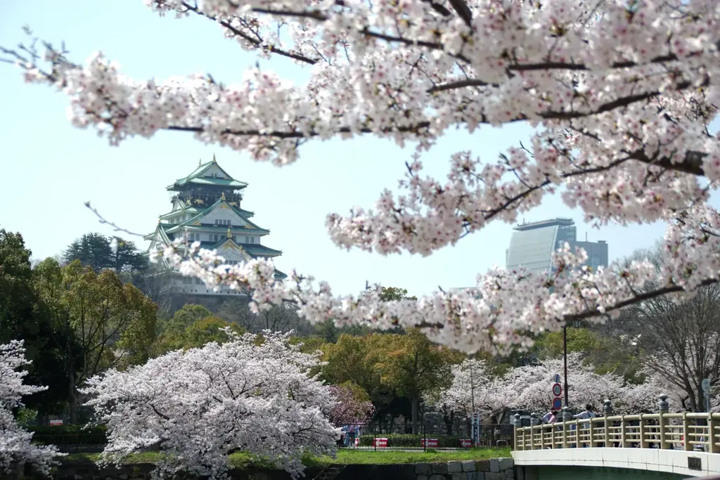 🍓元祖いちごビュッフェの最終章！いちご×桜×抹茶が奏でる春色満開スイーツビュッフェ！ 画像 13