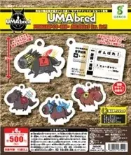 船橋ケイバ 第11回開催〔2月9日（月）～2月13日（金）〕第11回はクイーン賞（JpnIII）開催！ 画像 15