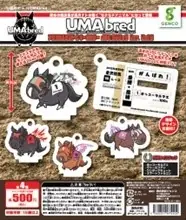 船橋ケイバ 第11回開催〔2月9日（月）～2月13日（金）〕第11回はクイーン賞（JpnIII）開催！ 画像 16