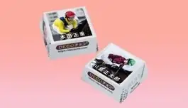 船橋ケイバ 第11回開催〔2月9日（月）～2月13日（金）〕第11回はクイーン賞（JpnIII）開催！ 画像 7