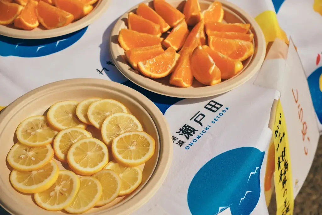 2026年5月31日（日）尾道しまなみ海道の島々を走るマラニック「しまなみサラウンド2026」エントリー開始！ 画像 8