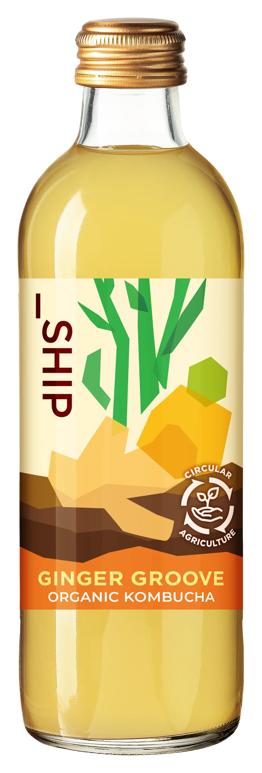 追加生産決定！「_SHIP KOMBUCHA」ご好評につき季節限定「GINGER GROOVE」を2月6日（金）より販売を再開いたします 〜数量限定で再生産、全国の店舗で順次発売〜 画像 3