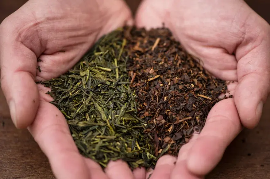 追加生産決定！「_SHIP KOMBUCHA」ご好評につき季節限定「GINGER GROOVE」を2月6日（金）より販売を再開いたします 〜数量限定で再生産、全国の店舗で順次発売〜 画像 4