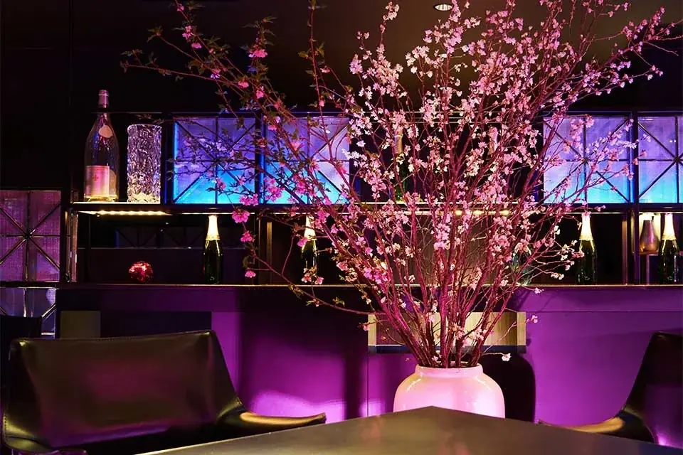2月から“桜解禁”！どこよりも早いお花見をホテルニューオータニで。 画像 8