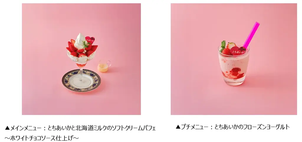 栃木県産いちご“とちあいか”を無料試食！2月11日に東京スカイツリータウン®でイベント開催。「Afternoon Tea TEAROOM」含む5つのカフェとコラボ！至福のとちあいかスイーツ期間限定販売 画像 10