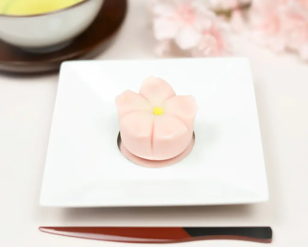 春の和歌山・串本と古座川をめぐる2つのお花見旅。国指定天然記念物「一枚岩」と老舗和菓子が彩る、地域とつながる春限定プラン【メルキュール和歌山串本リゾート＆スパ】 画像 12